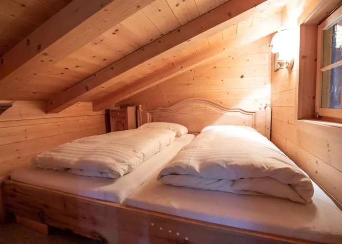 In Austria Near Lift & Forest Konigsleiten